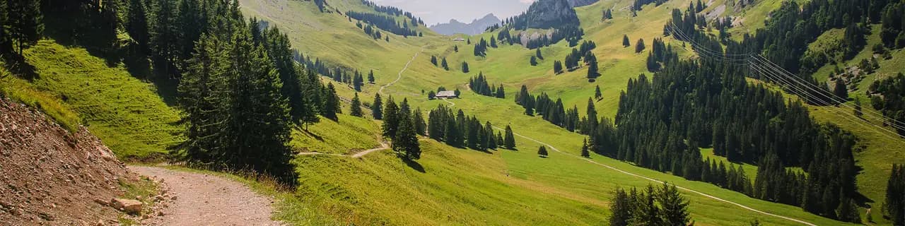 Un chemin de terre serpente à flanc de coteau et descend vers une vallée alpine ouverte, prairies et forêts de part et d'autre.